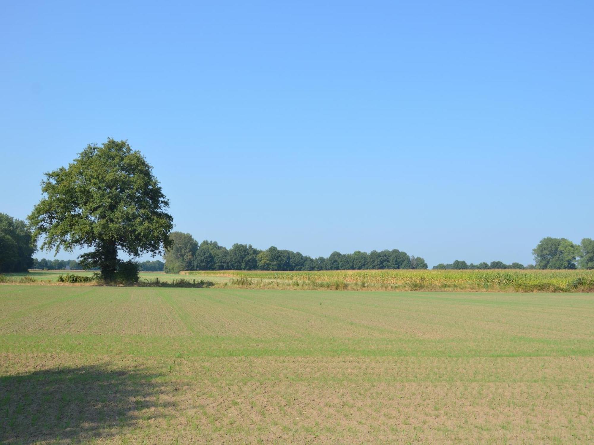 Quaint Farmhouse In Geesteren With Meadow View 外观 照片