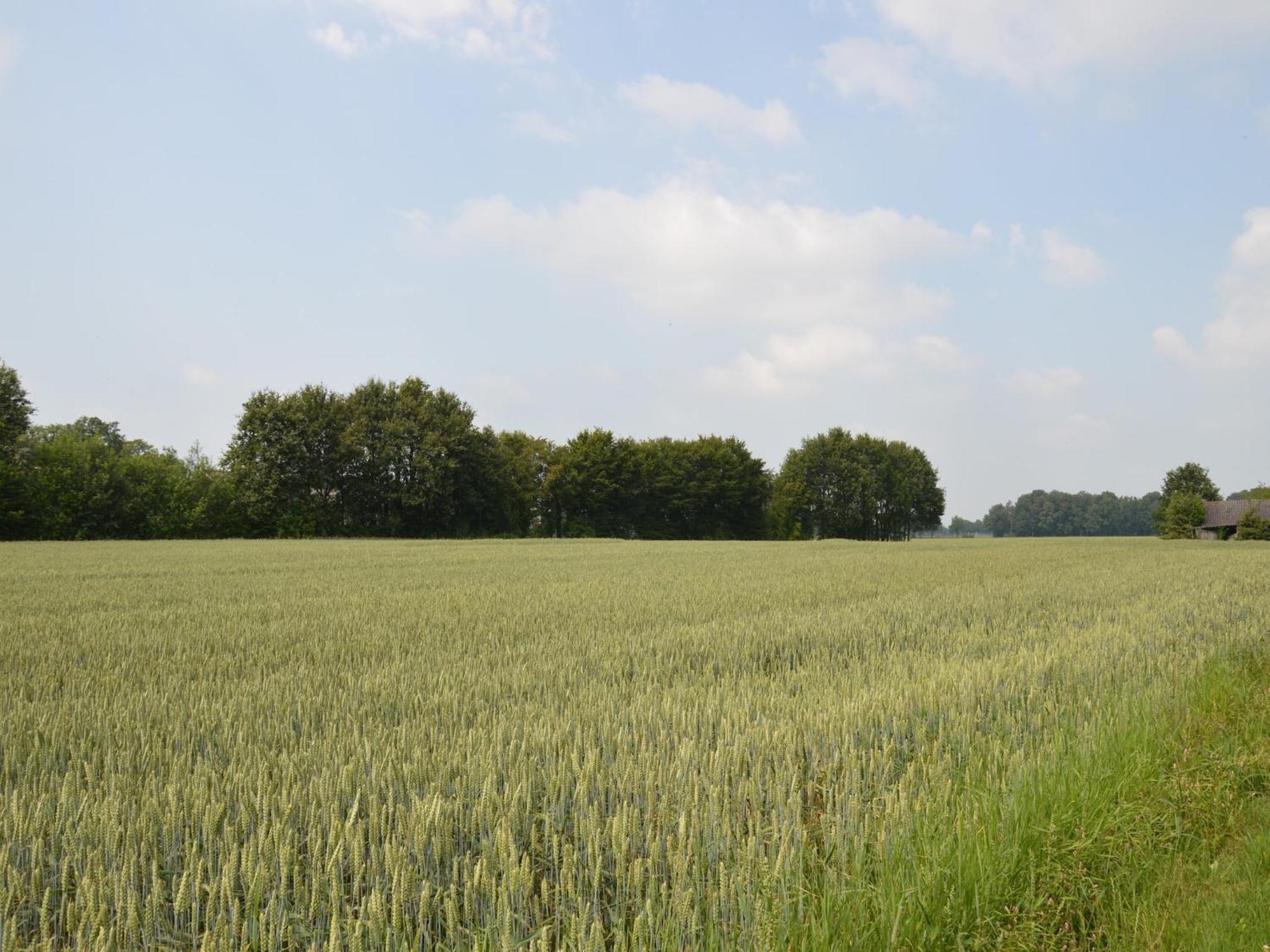 Quaint Farmhouse In Geesteren With Meadow View 外观 照片