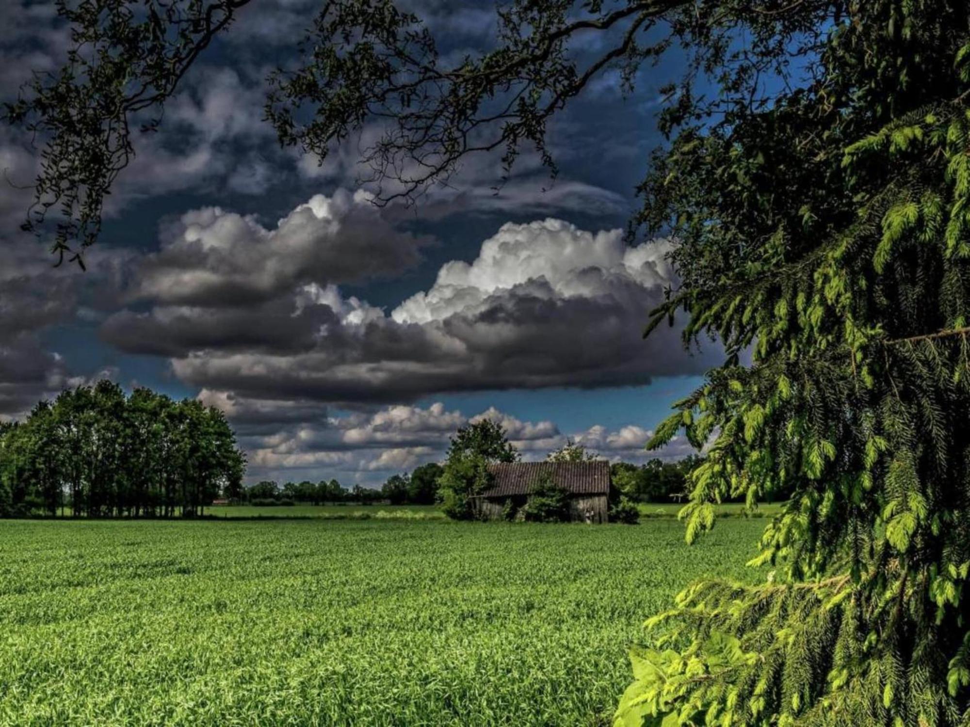 Quaint Farmhouse In Geesteren With Meadow View 外观 照片
